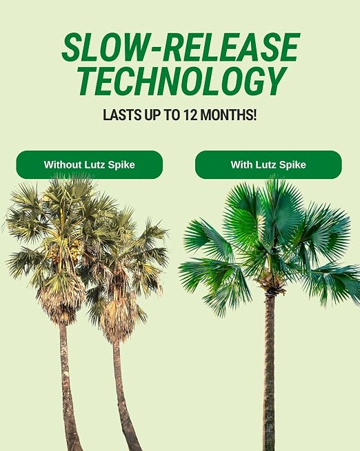 Maintenance Spikes
