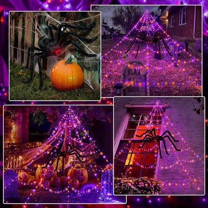 Orange&Purple