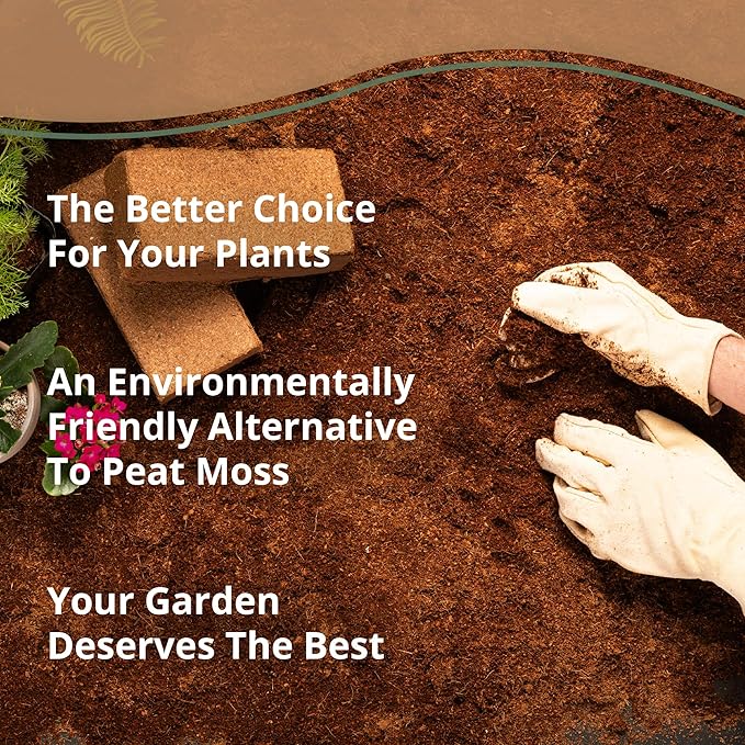 Coco Coir 650gm (10 Bricks)