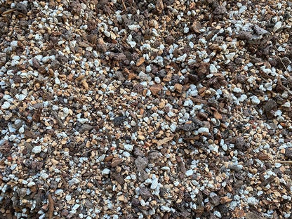 __DEFAULT__