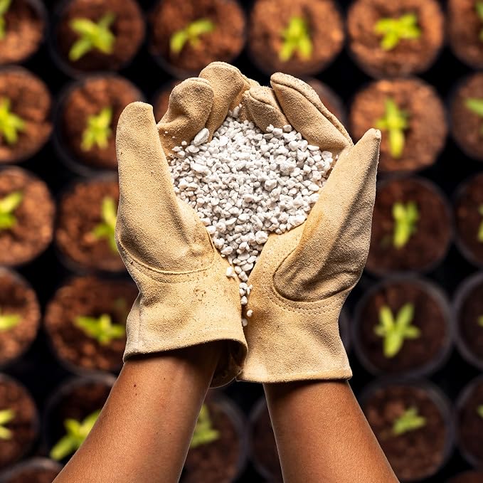 Perlite Bliss (16 Qts)