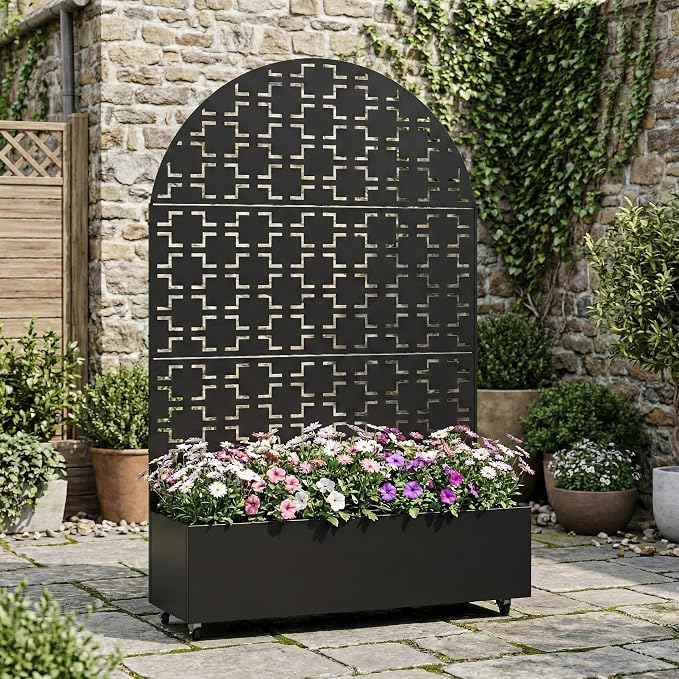 Black-square-arched