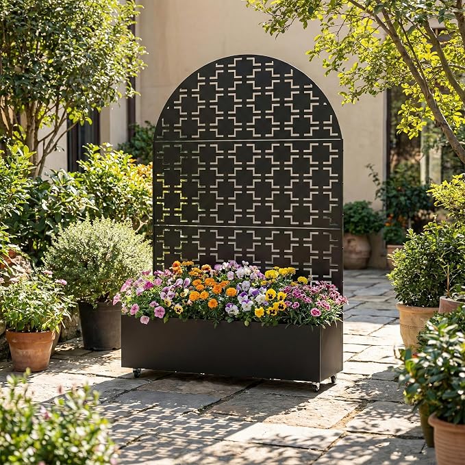 Black-square-arched