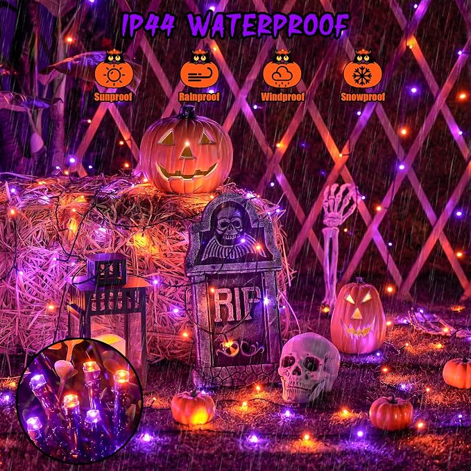 Orange and Purple
