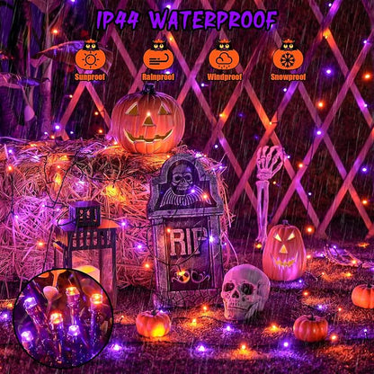 Orange and Purple