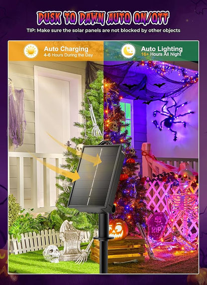 Orange&Purple