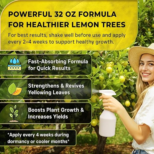 Lemon Plant