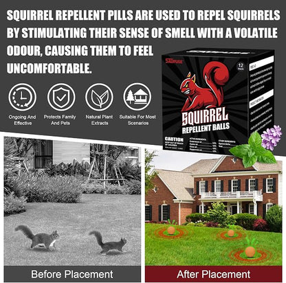 __DEFAULT__