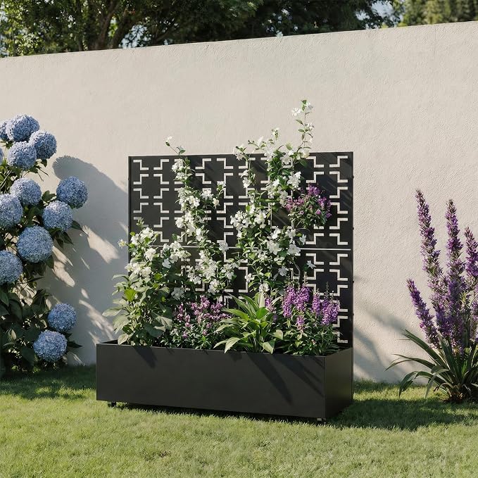 Black-square