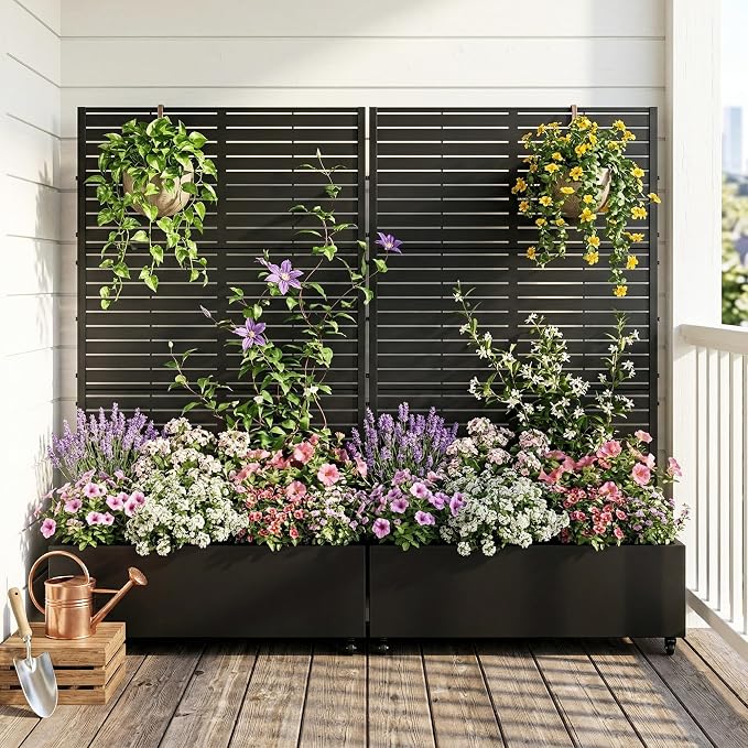 Black-louvered