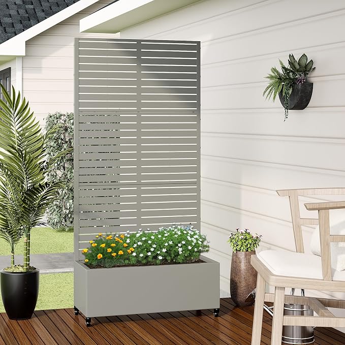 Grey-Louvered