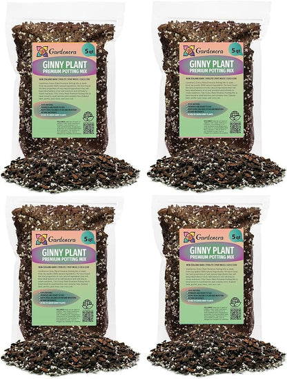 Monstera Ginny Plant Soil Mix