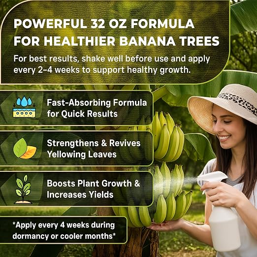 Banana Plant