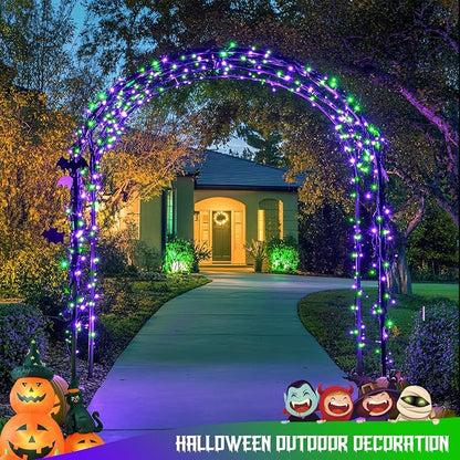 Purple and Green