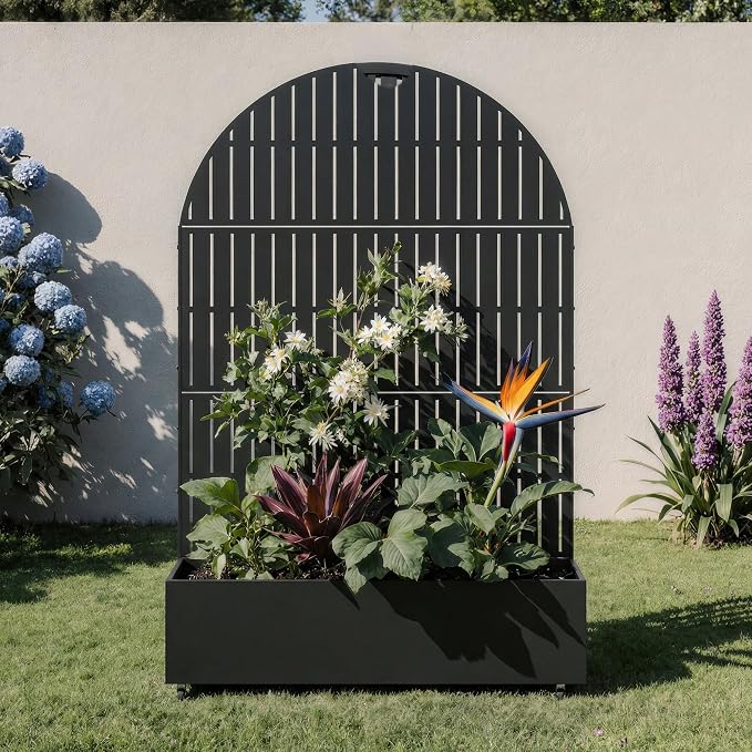 Black-fence-arched