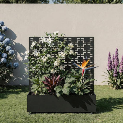 Black-square