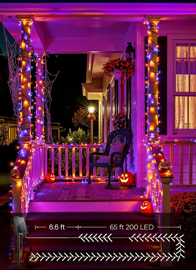 Orange&Purple