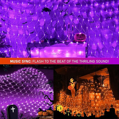 Orange to Purple