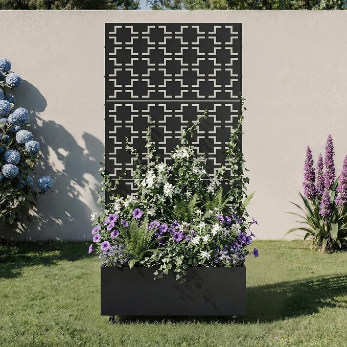 Black-square