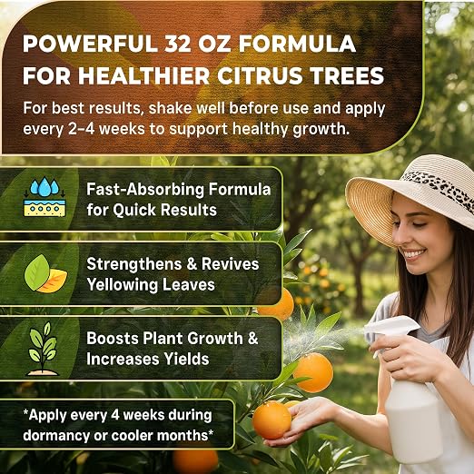 Citrus Plant