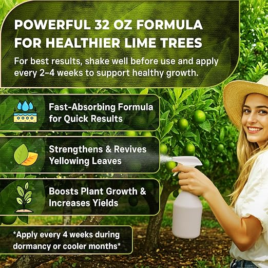 Lime Plant