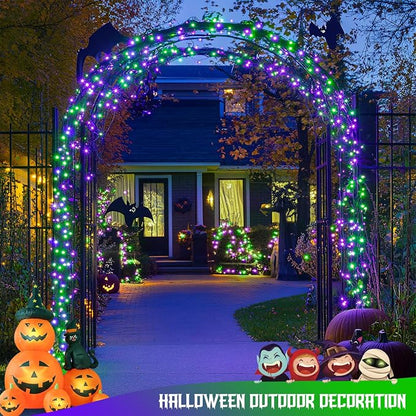 Purple and Green