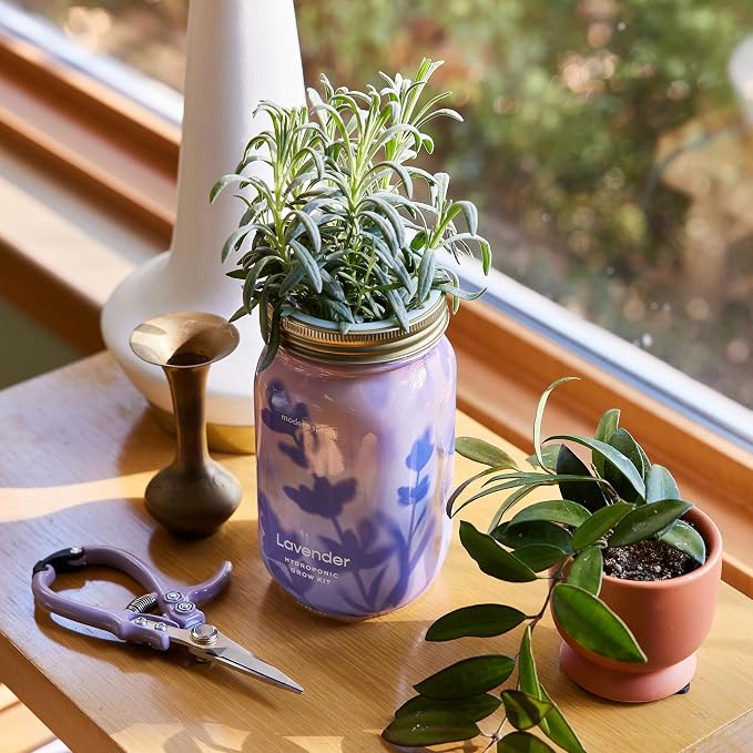 Basil + Lavender