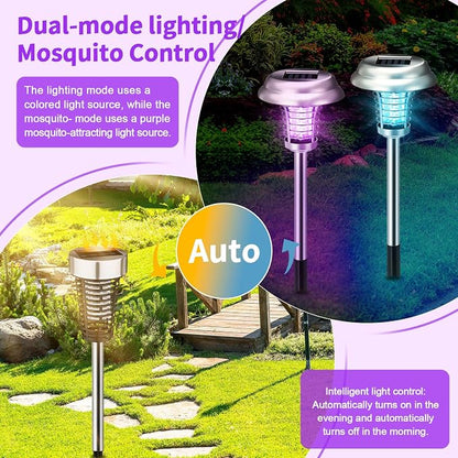 Purple & Colorful Light