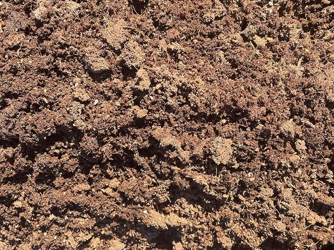 __DEFAULT__